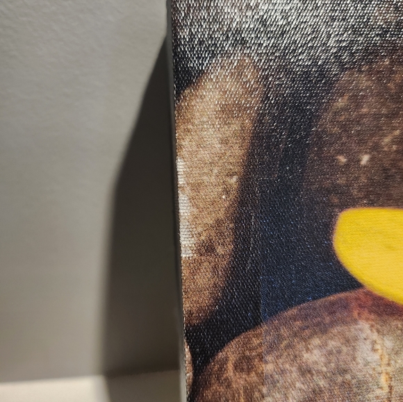 Set of 3 Floral Canvases, Yellow, Small - Picture 6 of 8